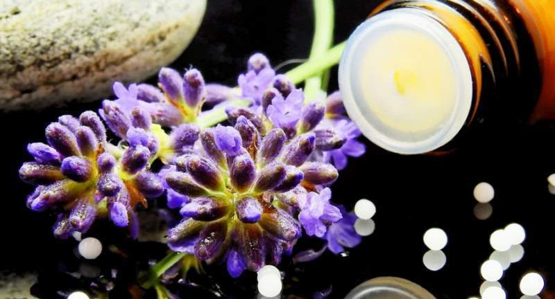 Cos’è la naturopatia e cosa fa il naturopata